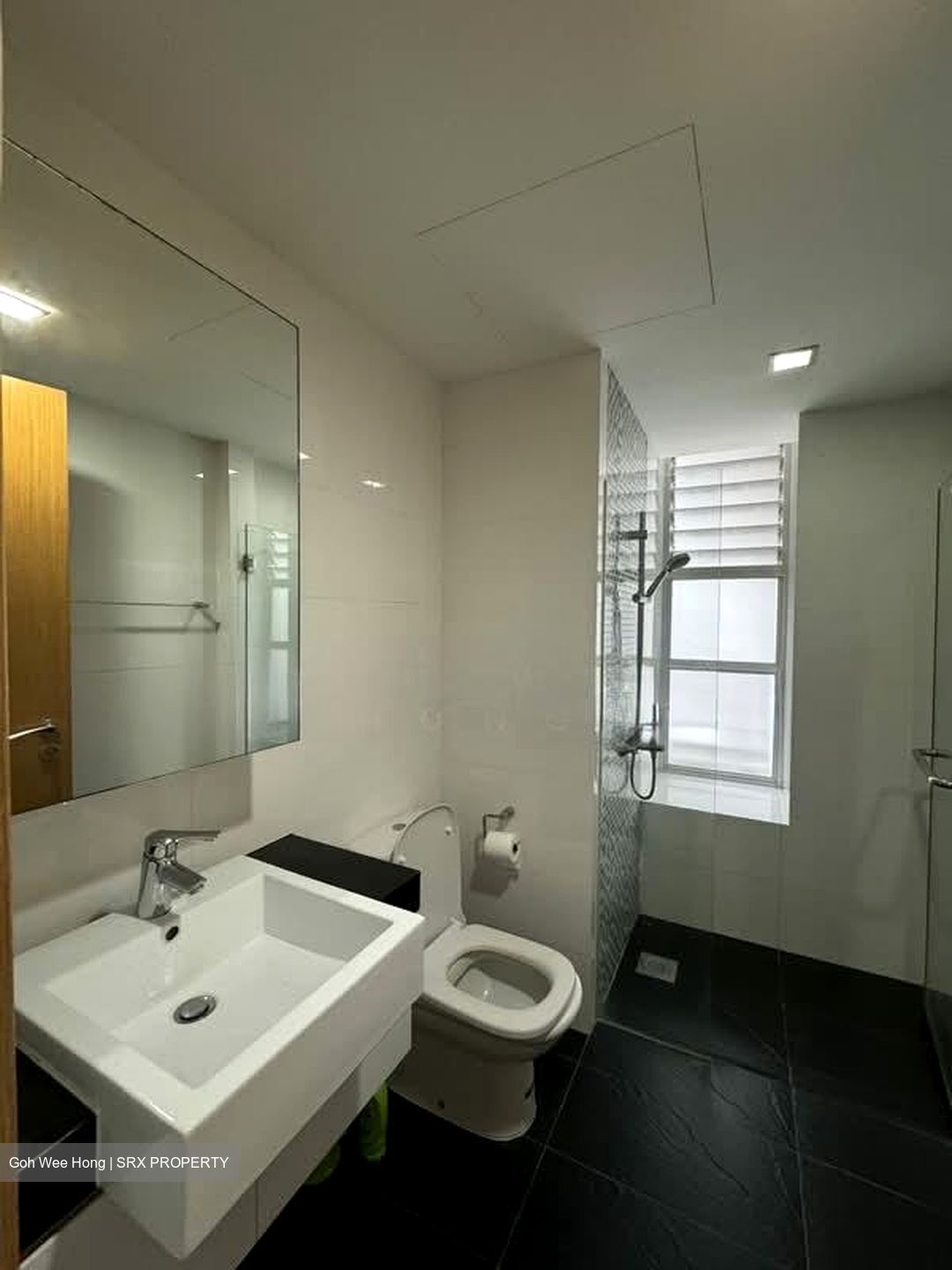 Oasis @ Elias (D18), Condominium #573140301